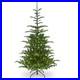 National_Tree_Company_feel_Real_Pre_lit_Artificial_Christmas_Tree_Green_01_sxln