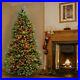 National_Tree_Dunhill_Fir_Tree_with_Multicolor_Lights_Green_7_5_01_cagy