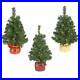 National_Tree_Noble_Spruce_Tree_with_LED_Lights_Assorted_2_Pack_of_3_01_ipj