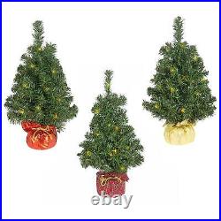 National Tree Noble Spruce Tree with LED Lights, Assorted, 2' (Pack of 3)