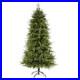 Nearly_Natural_T1653_6_ft_Vancouver_Artificial_Christmas_Tree_withLED_Lights_01_aemy