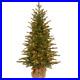 Nordic_Spruce_Lighted_Artificial_Spruce_Christmas_Tree_01_mtn