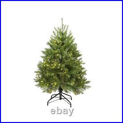 Northlight 4' Northern Pine Full Artificial Christmas Tree Warm Clear LED Lights