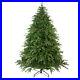 Northlight_6_5_Roosevelt_Fir_Artificial_Christmas_Tree_Warm_White_LED_Lights_01_axy