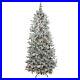 Northlight_7_5_Flocked_Colorado_Spruce_Artificial_Christmas_Tree_Clear_Lights_01_dndi