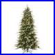 OPEN_BOX_6_5FT_Frosted_Pre_Lit_Slim_Aspen_Fir_Realistic_Artificial_Christmas_01_pp