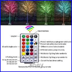 Outdoor Colorful Lighted Birch Tree for Christmas Decoration 5FT, Color Chang