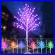 Outdoor_Colorful_Lighted_Birch_Tree_for_Christmas_Decoration_5FT_Color_RGB_5FT_01_kkxo