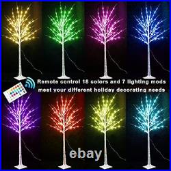 Outdoor Colorful Lighted Birch Tree for Christmas Decoration 5FT, Color RGB-5FT