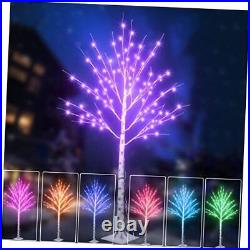 Outdoor Colorful Lighted Birch Tree for Christmas Decoration 5FT, Color RGB-5FT