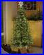 Philips_9ft_Pre_Lit_Artificial_Christmas_Tree_Bi_Color_LED_with_Remote_01_ugqg