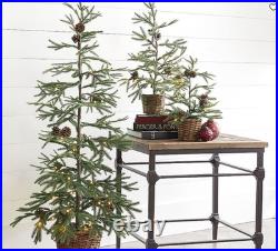 Pottery Barn XL Lit Potted Pine Tree Stately 60 5' Height Burlap Bottom EUC