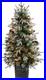 Pre_Lit_4Ft_Frosted_Artificial_Christmas_Tree_with_105_LED_Lights_Berries_01_ij