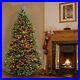 Pre_Lit_Artificial_Full_Christmas_Tree_Green_Dunhill_Fir_Multicolor_Lights_6_5_01_vqx