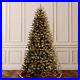 Pre_Lit_Artificial_Full_Christmas_Tree_Green_North_Valley_Spruce_White_Lights_01_yr
