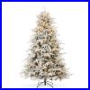 Pre_Lit_Aspen_Fir_Artificial_Christmas_Tree_White_Multicolored_Lights_withStand_01_gqvo