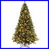 Pre_Lit_Christmas_Tree_Warm_White_LED_Lights_Canadian_Green_Spruce_6FT_7FT_01_zijh