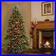 Pre_Lit_Full_Christmas_Tree_Green_Dunhill_Fir_Multicolor_Lights_6_5_Feet_01_owl
