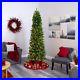 Pre_lit_Artificial_Christmas_Tree_Slim_Alberta_Spruce_Clear_Lights_New_9_FT_01_hoeu