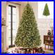 Prelit_Christmas_Tree_Artificial_Christmas_Tree_7_5ft_Hykolity_450_Warm_Light_01_oele