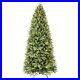 Prelit_Pencil_Artificial_Christmas_Pine_Tree_4_9ft_with_Lights_for_Decoration_01_jxlq