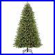 Puleo_International_7_5_Foot_Fraser_Fir_Artificial_Christmas_Tree_600_Lights_01_hj