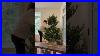 Realistic_Artificial_Christmas_Trees_Nowegian_Pre_Lit_Tree_D_Cors_V_Ronneau_01_puwn