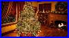 Relaxing_Christmas_Music_Cozy_Fireplace_Beautiful_Christmas_Tree_With_Lights_Christmas_Ambience_01_wn