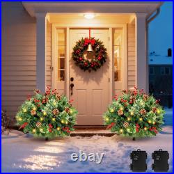 Set of 2 Prelit Pathway Christmas Trees with 50 LED Lights