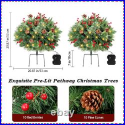 Set of 2 Prelit Pathway Christmas Trees with 50 LED Lights