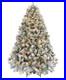 Snow_Flocked_Pre_lit_Christmas_Tree_with_250_Warm_White_Lights_820_Lush_Branch_01_ffar