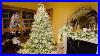 The_Brand_New_Stars_In_The_Sky_Pre_Lit_Christmas_Tree_01_tpx