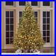 The_World_s_Best_Prelit_Fraser_Fir_Christmas_Tree_8_5_Slim_LED_White_Light_01_zpkz
