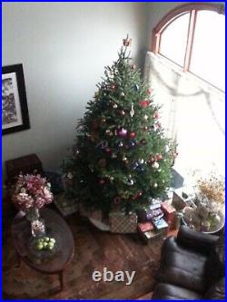 Tree Classics 9ft. Artificial Whitehall Spruce Christmas Tree with Lights & Acorns