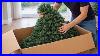 Unboxing_National_Tree_Company_7_5_Ft_Dunhill_Fir_Pre_Lit_Christmas_Tree_01_po
