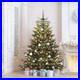 VEIKOUS_6_ft_Aspen_fir_Pre_lit_Artificial_Christmas_Tree_with_White_LED_Lights_01_oqzf