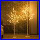 Vanthylit_Prelit_Birch_Tree_Light_White_Christmas_Tree_for_Home_Party_Weddin_01_eb
