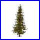 Vickerman_6_Ashland_Artificial_Christmas_Tree_Clear_Dura_Lit_Lights_01_tav
