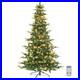 Vingli_7_5Ft_Aspen_Artificial_Christmas_Tree_Multicolor_Led_Lights_Pre_Lit_01_ppm