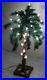 Vintage_Christmas_Palm_Tree_Pre_Lit_Artificial_Tropical_Hawaii_White_Lights_20_01_ini