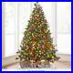 World_s_Best_Prelit_LED_Noble_Fir_12_Green_Multicolor_Light_Full_Christmas_Tree_01_pzfn