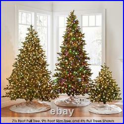 World's Best Prelit LED Noble Fir 12' Green/Multicolor Light Full Christmas Tree